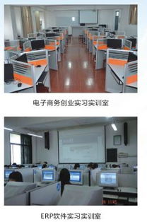 湖南省职业技术学院电子商务专业发展现状与前景