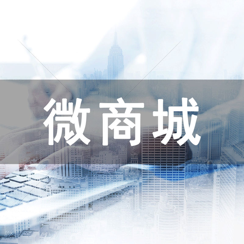 电商系统开发